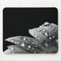 Daisy Droplet Series mousepads by ChristianTravers Daisy Droplet Series mousepads