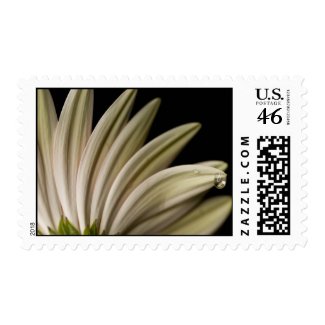 Daisy Droplet Series stamp