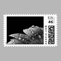 Daisy Droplet Series postage by ChristianTravers Daisy Droplet Series postage