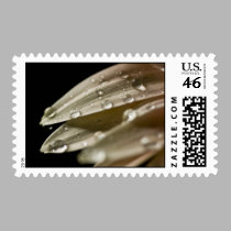 Daisy Droplet Series postage by ChristianTravers Daisy Droplet Series postage