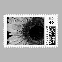 Daisy Droplet Series postage by ChristianTravers Daisy Droplet Series postage