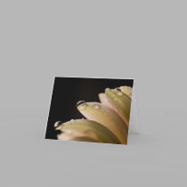 Daisy Droplets cards by ChristianTravers Daisy Droplets cards