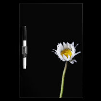 Daisy dry erase boards