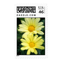 Daisy Duo US Wedding Postage Stamp