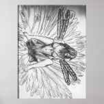 daisy faery 001 poster