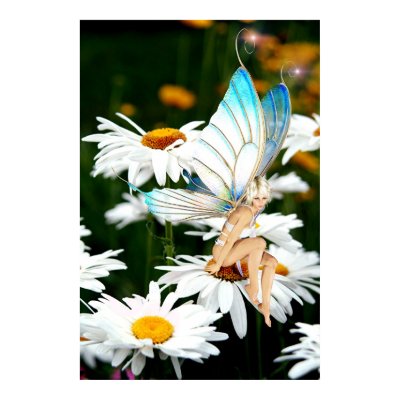 Daisy Fairy Poster by jmpgallery