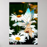 Daisy Fairy posters