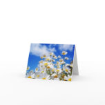 Daisy Field Card