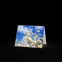 Daisy Field cards by kokobaby Daisy Field cards
