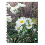 Daisy Fleabane Notebook