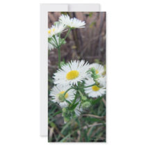 Daisy Fleabane Photo Bookmark Custom Rack Cards