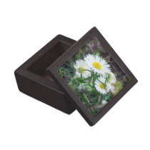 Daisy Fleabane Premium Gift Box premium gift boxes