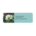 Daisy Fleabane Return Address Label