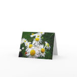 Daisy Fleabanes Note Card