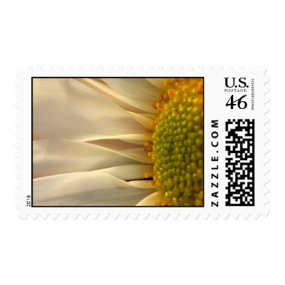 Daisy+Floral+Wedding+Postage+Stamp+by+TDSwhite