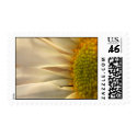 Daisy Floral Wedding Postage Stamp