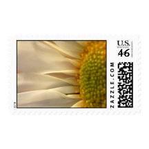 Daisy Floral Wedding Postage Stamp