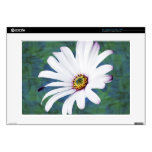 Daisy Flower and meaning Decals For Laptops