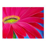 DAISY FLOWER ART - MULTI POSTCARD