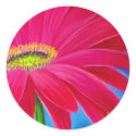 DAISY FLOWER ART - MULTI stickers