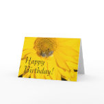 Daisy Flower &amp; Bee Birthday Card