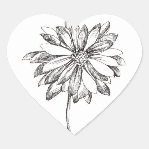 Daisy Flower Heart Sticker Black White Drawing Zazzle
