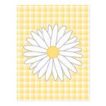 Daisy Flower in Yellow and White. Post Card