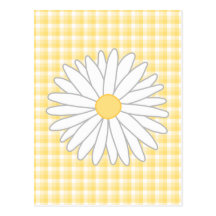 Daisy Flower in Yellow and White. Post Card