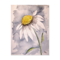 Daisy flower painting art gift postcards