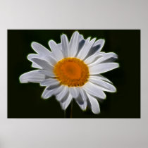 Daisy flower power print