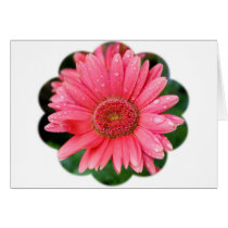 Daisy Flower Shape Cards