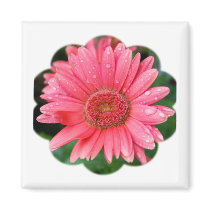 Daisy Flower Shape Magnet