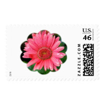 Daisy Flower Shape Postage Stamp