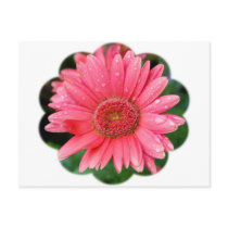 Daisy Flower Shape Post Card