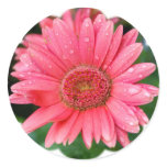 Daisy Flower Shape Sticker