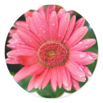 Daisy Flower Shape Sticker