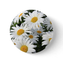 Daisy Flowers Growing White Button