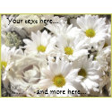Daisy Flowers Personalized Postage Stamps stamp