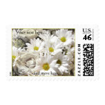 Daisy Flowers Personalized Postage Stamps