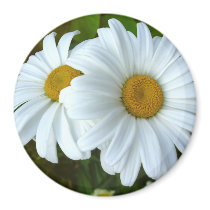 Daisy Fridge Magnet Cheerful Flower Daisy Gifts