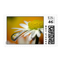Daisy Gänseblümchen postage by gabii40 Daisy Gänseblümchen postage
