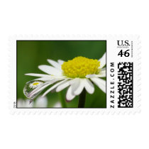 Daisy Gänseblümchen postage by gabii40 Daisy Gänseblümchen postage