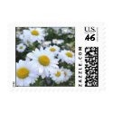 Daisy Garden stamp