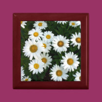 Daisy giftbox gift boxes