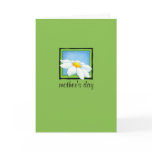 Daisy green Mother's Day Card