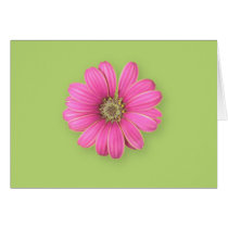 daisy green plain card