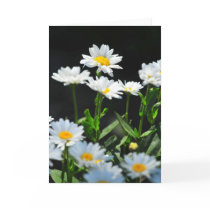 Daisy greeting card