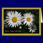 Daisy Greeting Card cards