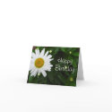 Daisy Happy Birthday card