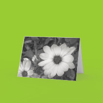 Daisy Happy Birthday Card cards